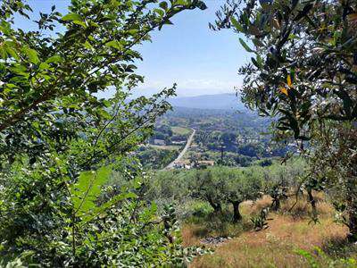 Foto Terreno Agricolo in Vendita, 1 Locale, 11000 mq, Monte San Giova