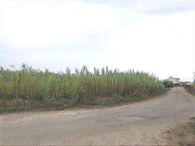 Foto Terreno Agricolo in Vendita, 1 Locale, 12250 mq, Termoli