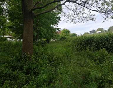 Foto Terreno Agricolo in Vendita, 1 Locale, 13089 mq, Treviso