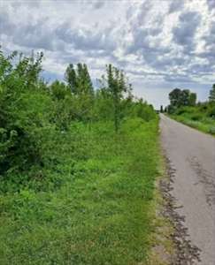 Foto Terreno Agricolo in Vendita, 1 Locale, 14321 mq, Pordenone