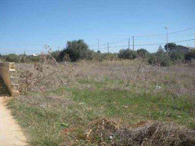 Foto Terreno Agricolo in Vendita, 1 Locale, 1800 mq, Marsala (Perifer