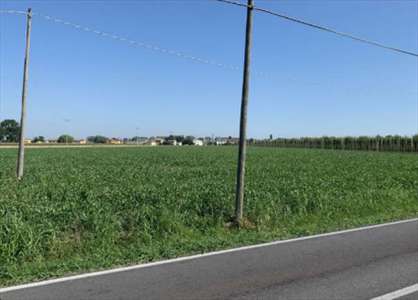 Foto Terreno Agricolo in Vendita, 1 Locale, 18050 mq, Riva del Po