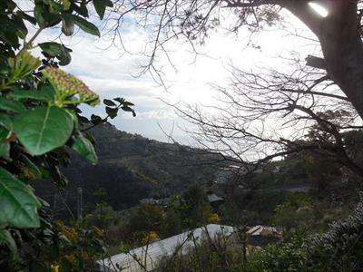 Foto Terreno Agricolo in Vendita, 1 Locale, 2000 mq, Bordighera