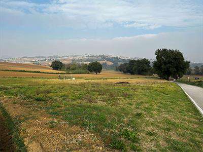 Foto Terreno Agricolo in Vendita, 1 Locale, 24100 mq, Castelfidardo (