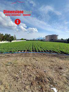 Foto Terreno Agricolo in Vendita, 1 Locale, 2870 mq, Nola
