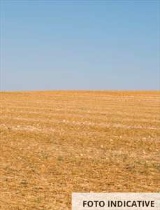 Foto Terreno Agricolo in Vendita, 1 Locale, 2935 mq, Cassago Brianza