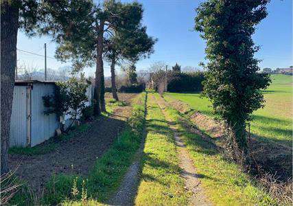 Foto Terreno Agricolo in Vendita, 1 Locale, 32100 mq, Osimo
