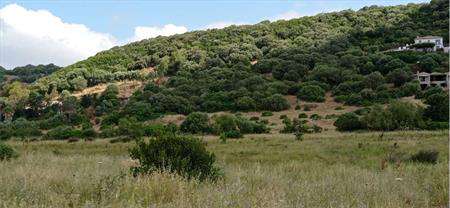 Foto Terreno Agricolo in Vendita, 1 Locale, 40000 mq, Alghero