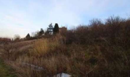 Foto Terreno Agricolo in Vendita, 1 Locale, 41778 mq, Castrocaro Term