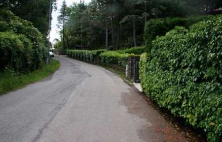 Foto Terreno Agricolo in Vendita, 1 Locale, 4260 mq, Monzuno
