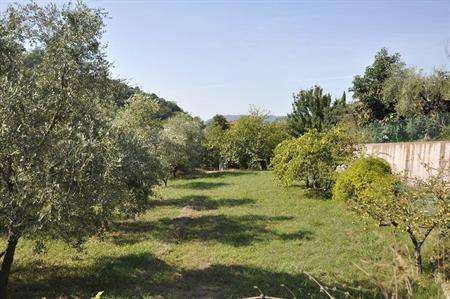 Foto Terreno agricolo in Vendita, 1 Locale, 4300 mq (CASTELNUOVO MAGR