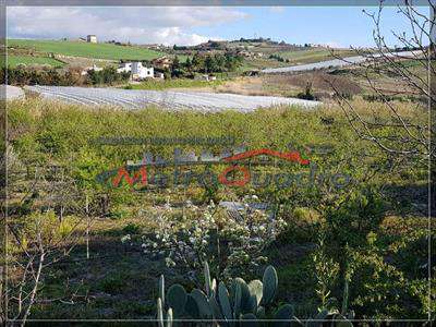 Foto Terreno agricolo in Vendita, 1 Locale, 5000 mq (CANICATTI' D 1