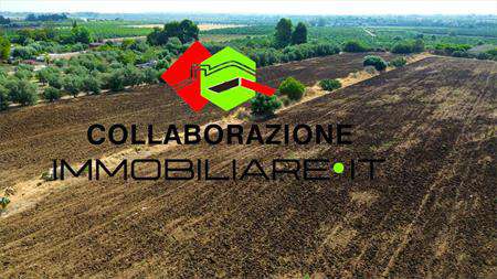Foto Terreno Agricolo in Vendita, 1 Locale, 55000 mq, Siracusa (Elori