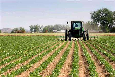 Foto Terreno Agricolo in Vendita, 1 Locale, 6000 mq, Capannori (Capan