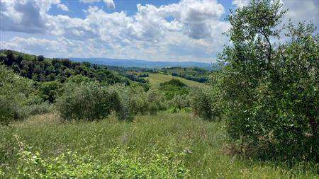 Foto Terreno Agricolo in Vendita, 1 Locale, 62000 mq, Deruta