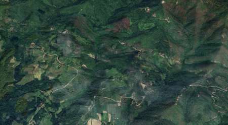 Foto Terreno Agricolo in Vendita, 1 Locale, 70000 mq, Vicchio