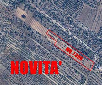 Foto Terreno Agricolo in Vendita, 1 Locale, 7300 mq, Corato