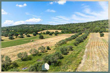 Foto Terreno Agricolo in Vendita, 1 Locale, 7390 mq, Monte Romano