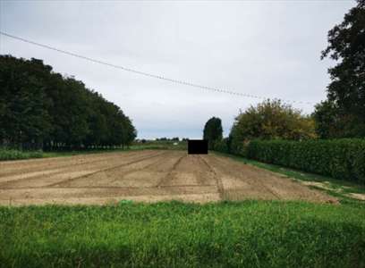 Foto Terreno Agricolo in Vendita, 1 Locale, 7492 mq, Lendinara