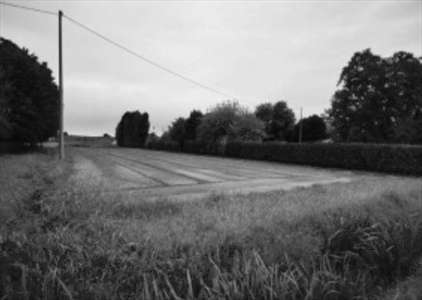 Foto Terreno Agricolo in Vendita, 1 Locale, 7497 mq, Lendinara