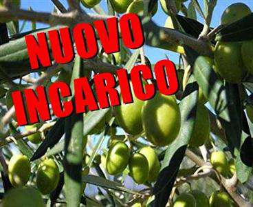 Foto Terreno Agricolo in Vendita, 1 Locale, 8300 mq, Corato