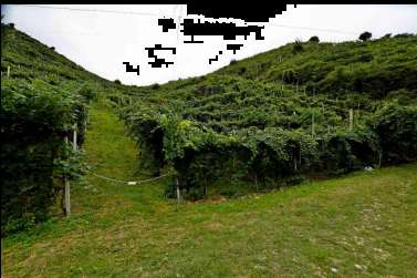 Foto Terreno Agricolo in Vendita, 1 Locale, 984 mq, Farra di Soligo