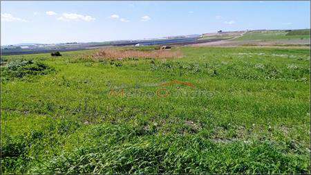 Foto Terreno agricolo in Vendita, 10000 mq (NARO SCIABANI)
