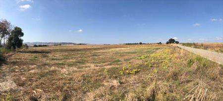 Foto Terreno Agricolo in Vendita, 12220 mq, Guglionesi