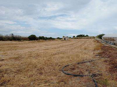 Foto Terreno agricolo in Vendita, 15700 mq (PACHINO)