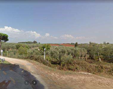 Foto Terreno agricolo in Vendita, 1600 mq (FOLLONICA)