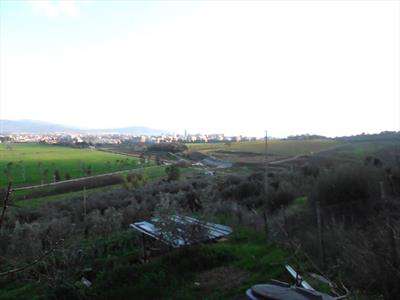 Foto Terreno agricolo in Vendita, 1720 mq (FOLLONICA)
