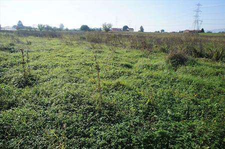 Foto Terreno Agricolo in Vendita, 20000 mq, Pescia