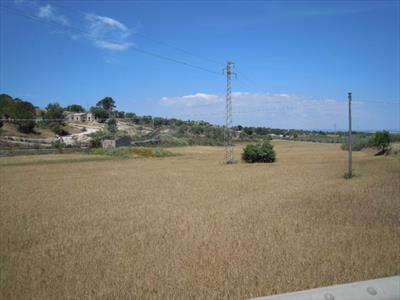 Foto Terreno agricolo in Vendita, 23600 mq (PACHINO)