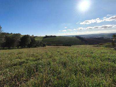 Foto Terreno Agricolo in Vendita, 25000 mq, Osimo