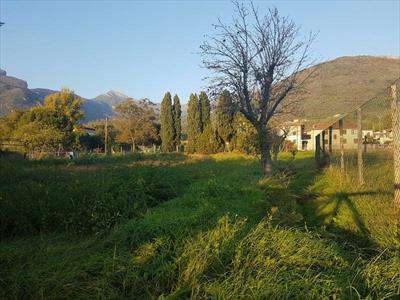 Foto Terreno agricolo in Vendita, 2620 mq (CAMAIORE)