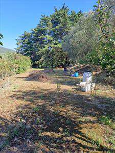 Foto Terreno agricolo in Vendita, 2700 mq (LIVORNO LIMONCINO)