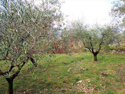 Foto Terreno Agricolo in Vendita, 3000 mq, Monte San Giovanni Campano