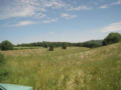 Foto Terreno agricolo in Vendita, 31000 mq (MONTEFIASCONE MENTUCCIA)