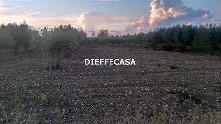 Foto Terreno Agricolo in Vendita, 3440 mq, Marsala (Periferia lato Tr