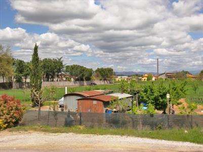 Foto Terreno agricolo in Vendita, 4000 mq (TORRITA DI SIENA)