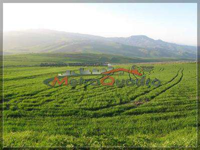 Foto Terreno agricolo in Vendita, 5260 mq (CANICATTI' A 6 ZONA ZONA