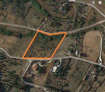 Foto Terreno agricolo in Vendita, 6470 mq (SAN CATALDO ZONA INDUSTRIA