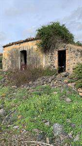 Foto Terreno agricolo in Vendita, 6500 mq (MISTERBIANCO)