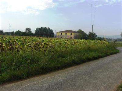 Foto Terreno agricolo in Vendita, 6750 mq (TORRITA DI SIENA TORRITA)