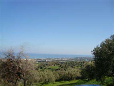 Foto Terreno agricolo in Vendita, 7000 mq (COLLESANO)