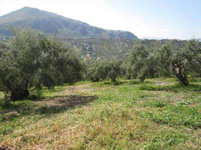 Foto Terreno agricolo in Vendita, 7200 mq (BAGHERIA)