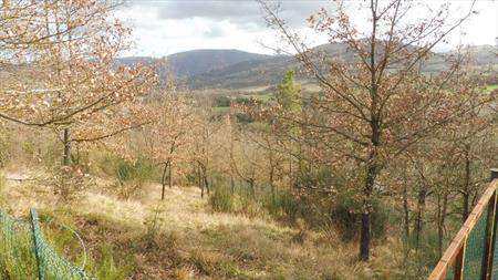 Foto Terreno agricolo in Vendita, 73050 mq (CAMERINO)