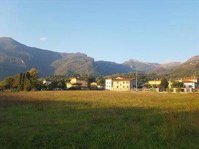 Foto Terreno agricolo in Vendita, 7390 mq (CAMAIORE)