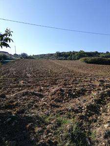Foto Terreno agricolo in Vendita, 8750 mq (CASALBORDINO CASALBORDINO