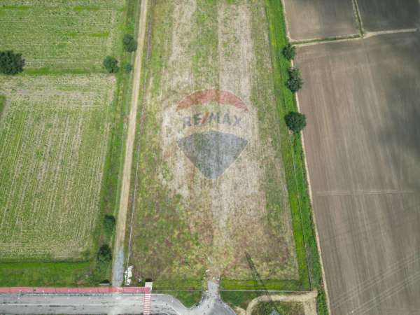 Foto Terreno agricolo in vendita a Abbiategrasso